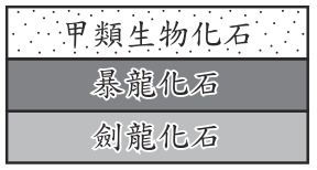 選項 D