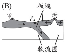 選項 B