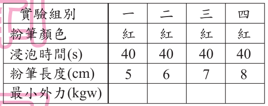 選項 D