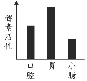 選項 D