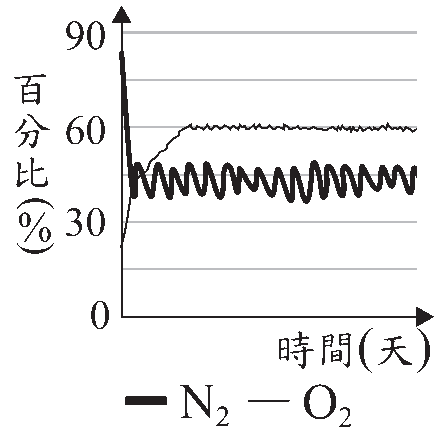選項 B