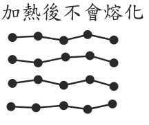 選項 C