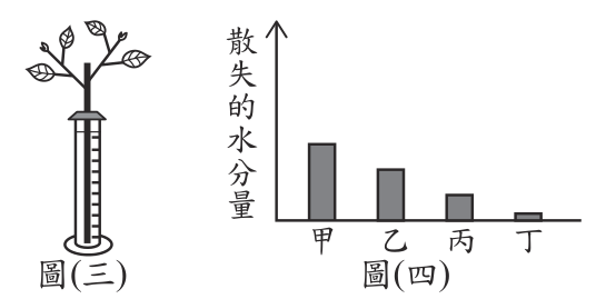 題目圖片