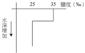 選項 D