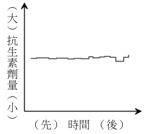 選項 C