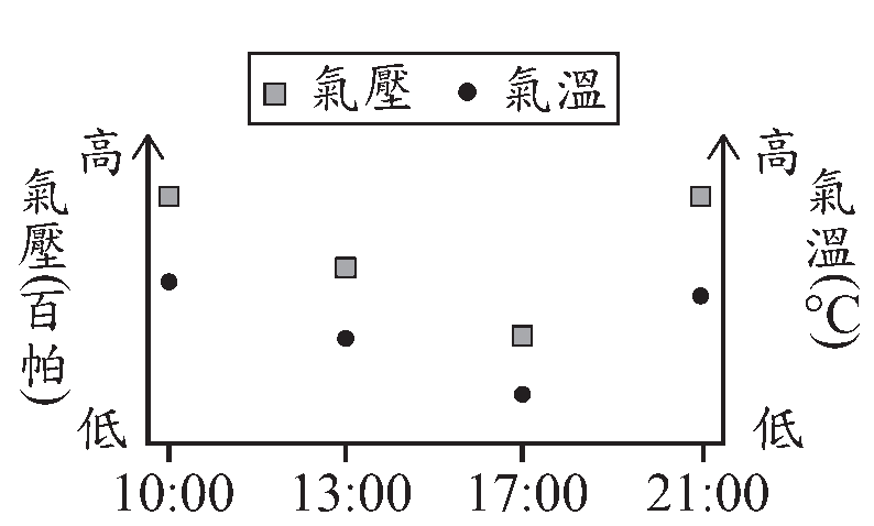 選項 B