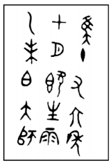 選項 D
