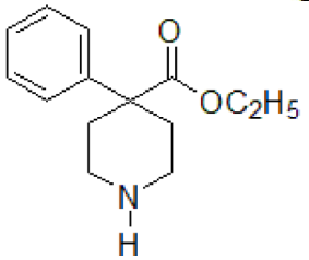 選項 B
