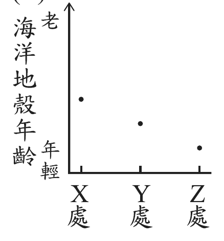 選項 C