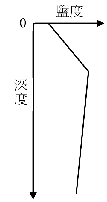 選項 B
