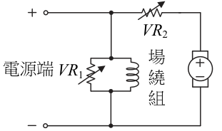 選項 B