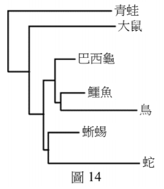 題目圖片