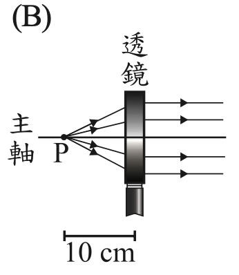 選項 B