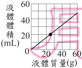 選項 B