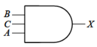 選項 B