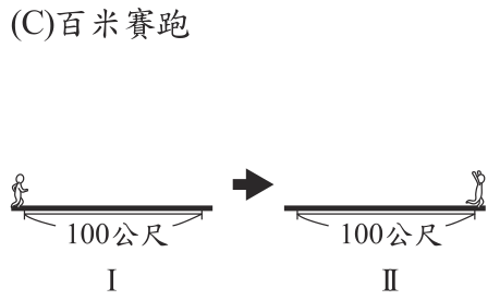 選項 C