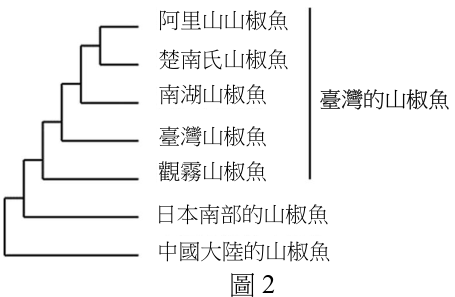 題組圖片