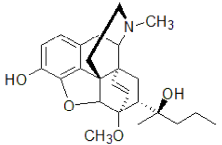 選項 B