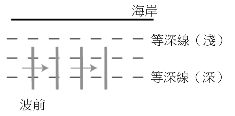 選項 C
