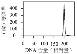 選項 E