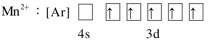 選項 E