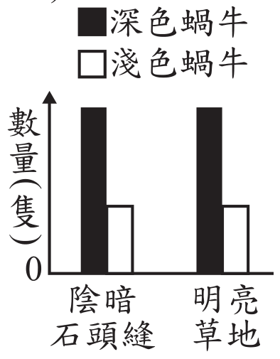 選項 A