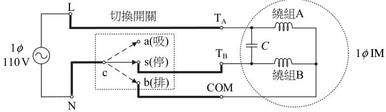 選項 B