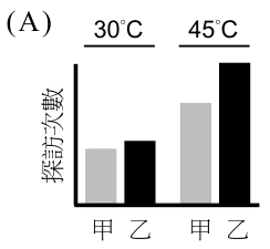 選項 A