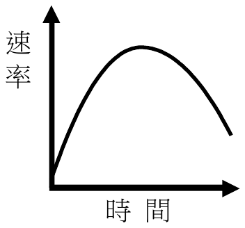 選項 E