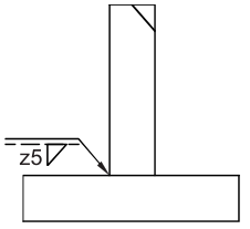 選項 D