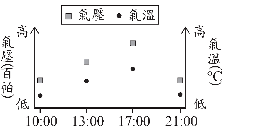 選項 C