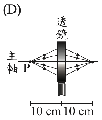 選項 D