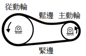 選項 B