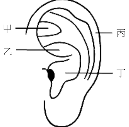 題目圖片