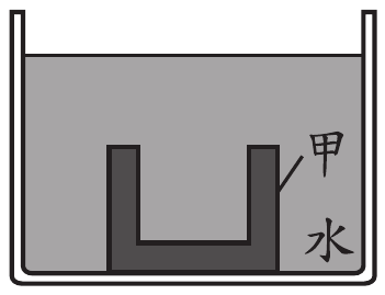 選項 D