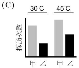 選項 C