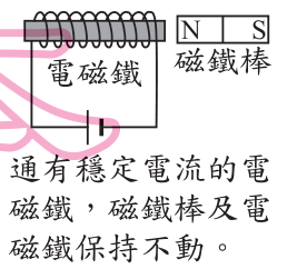 選項 C
