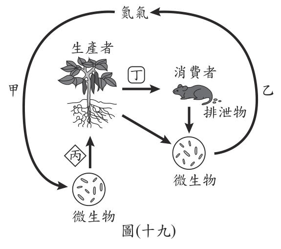 題目圖片