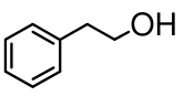 選項 B