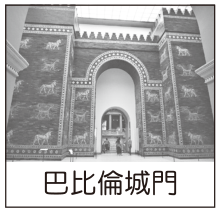 選項 A