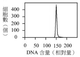 選項 D