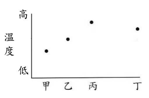 選項 B