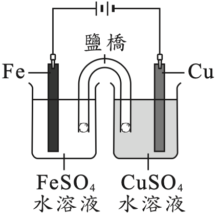 選項 C