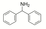 選項 B