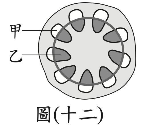 題目圖片