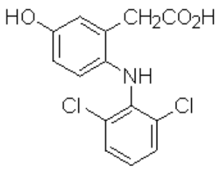 選項 B