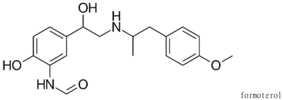 選項 B