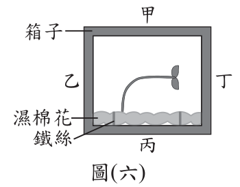 題目圖片