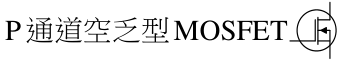 選項 C