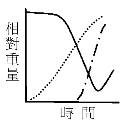 選項 E